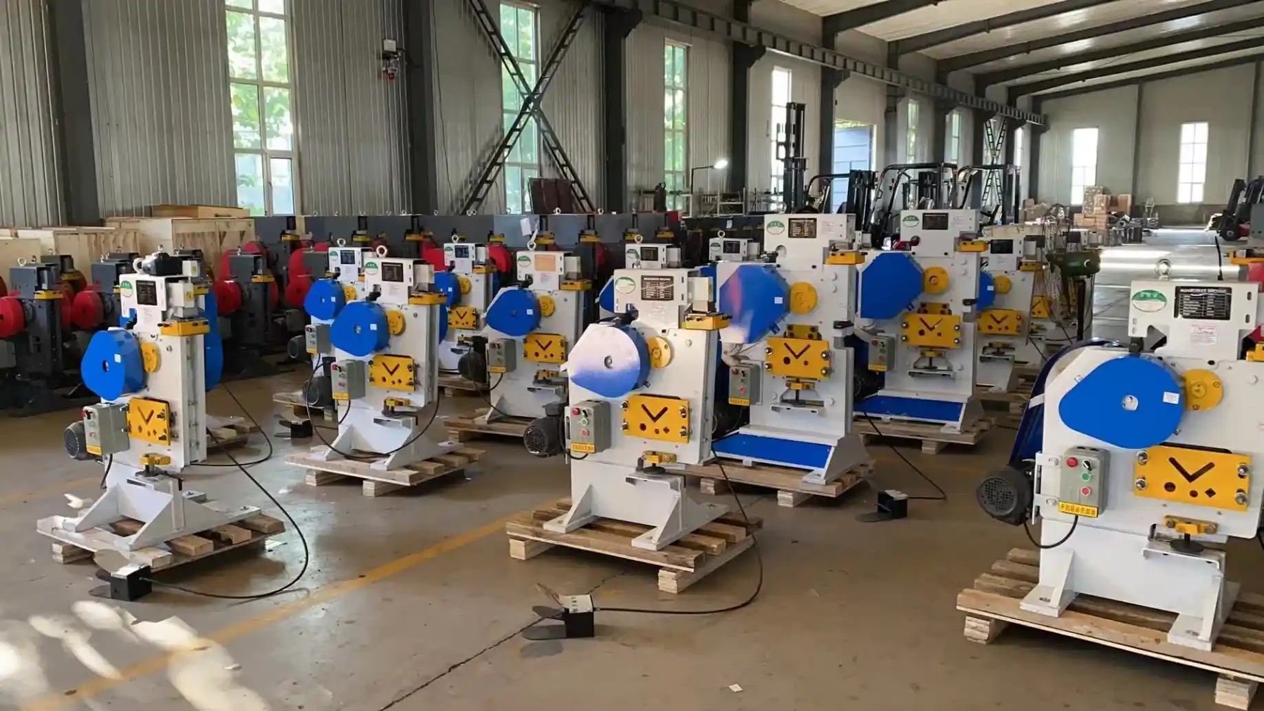 Large Scale Production Line